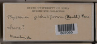 Image Associated With the Occurence